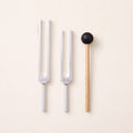 The Two: the 256 Hz and 384 Hz tuning forks, a C and a G, without weights, and a wooden mallet.